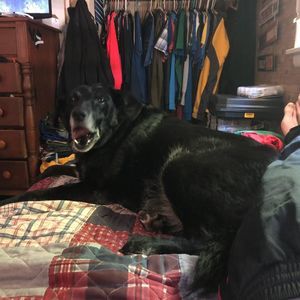 Meet your Posher, Brian